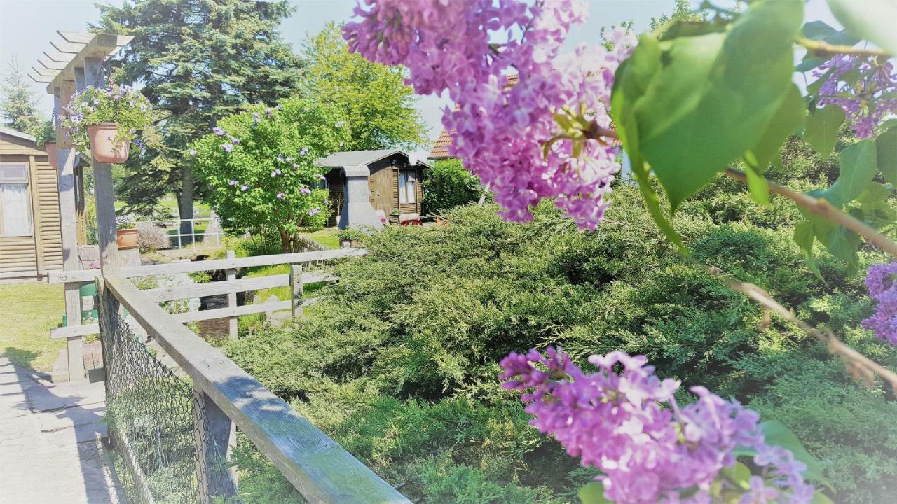 דירות Ostseebad Kühlungsborn Urlaub Beim Schmied מראה חיצוני תמונה